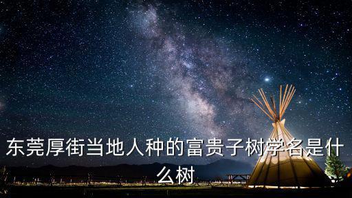 東莞很多樹，在東莞東城綠化帶看見一棵樹結(jié)了很多這種東西到底是什么樹