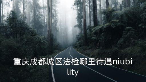 重慶成都城區法檢哪里待遇niubility