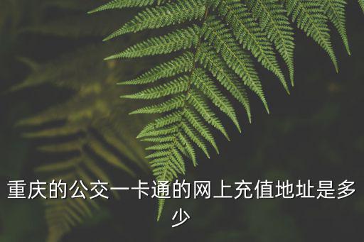 如何用重慶市民通給交通卡充值，重慶公交卡手機怎么充值