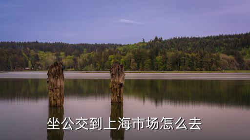 泉舜到上海市場步行街，坐公交到上海市場怎么去
