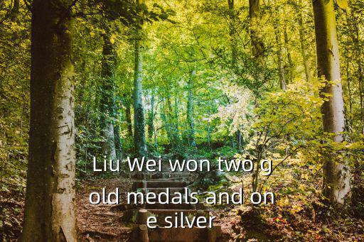 Liu Wei won two gold medals and one silver