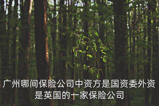 廣州保險公司哪個國家，廣州哪間保險公司中資方是國資委外資是英國的一家保險公司