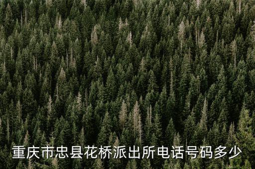 重慶市忠縣花橋派出所電話號碼多少