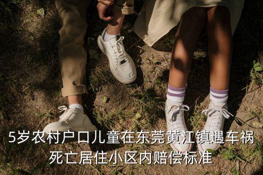 5歲農村戶口兒童在東莞黃江鎮遇車禍死亡居住小區內賠償標準