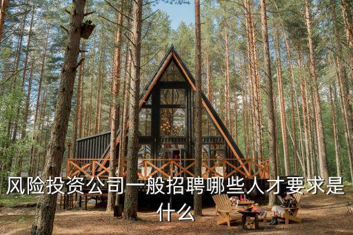 風險投資公司一般招聘哪些人才要求是什么
