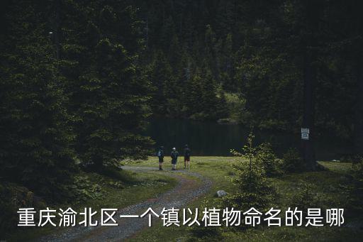 重慶渝北區一個鎮以植物命名的是哪