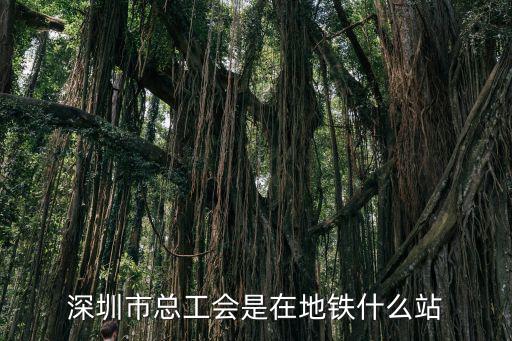 深圳市總工會是在地鐵什么站