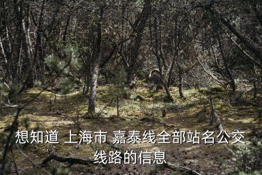 想知道 上海市 嘉泰線全部站名公交線路的信息