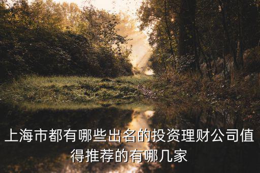 上海市都有哪些出名的投資理財公司值得推薦的有哪幾家