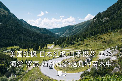 美國紅楓 日本紅楓 日本櫻花 垂絲海棠 紫薇 西府海棠 這幾種苗木中哪3