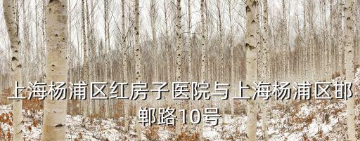 上海楊浦區紅房子醫院與上海楊浦區邯鄲路10號