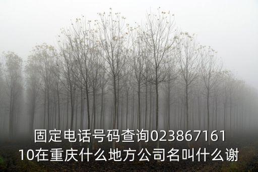 重慶市浩通公司電話，問重慶路虎4S店的電話