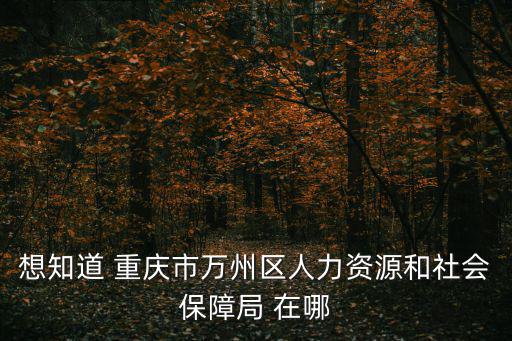 想知道 重慶市萬州區(qū)人力資源和社會保障局 在哪