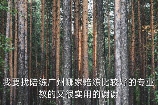 我要找陪練廣州哪家陪練比較好的專業教的又很實用的謝謝
