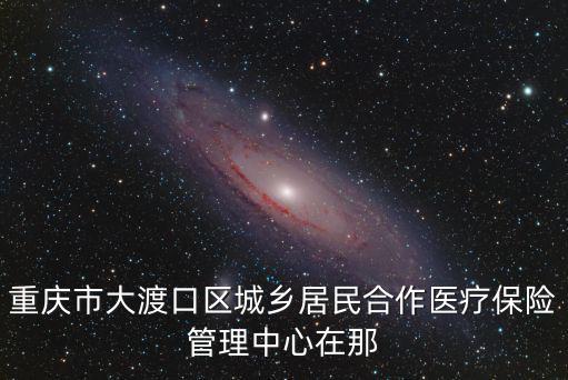重慶市大渡口區城鄉居民合作醫療保險管理中心在那
