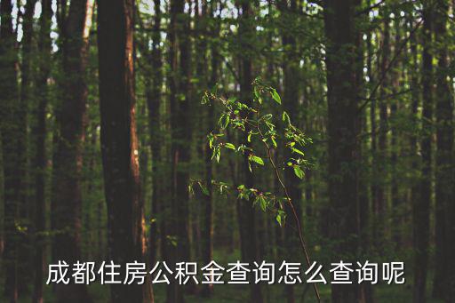 成都住房公積金查詢怎么查詢呢