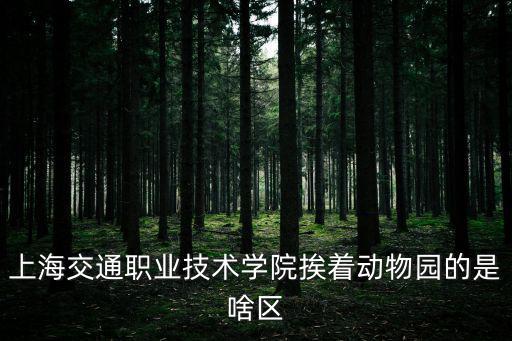 上海交通職業(yè)技術(shù)學(xué)院挨著動(dòng)物園的是啥區(qū)