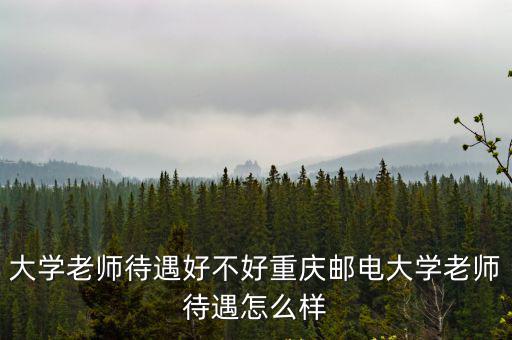 大學(xué)老師待遇好不好重慶郵電大學(xué)老師待遇怎么樣