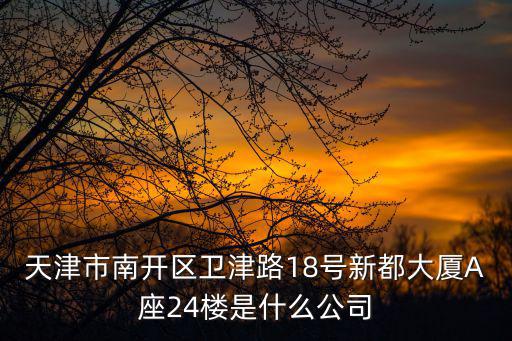 天津市南開區衛津路18號新都大廈A座24樓是什么公司