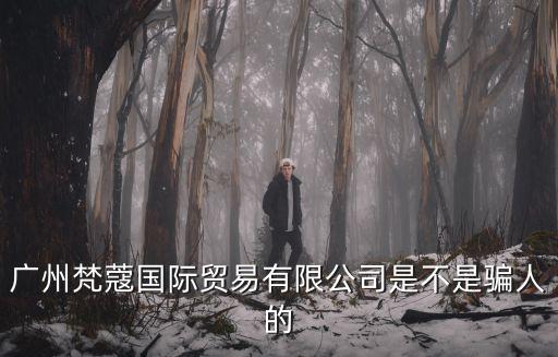 廣州梵蔻國際貿易有限公司是不是騙人的