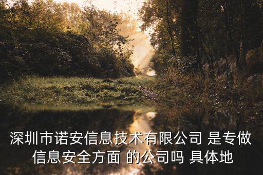 深圳東方聚印信息技術有限公司，深圳市諾安信息技術有限公司 是專做 信息安全方面 的公司嗎 具體地