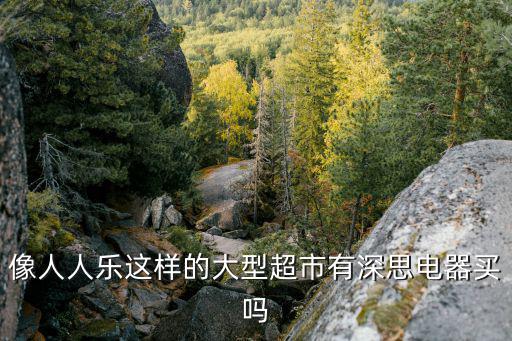 像人人樂這樣的大型超市有深思電器買嗎