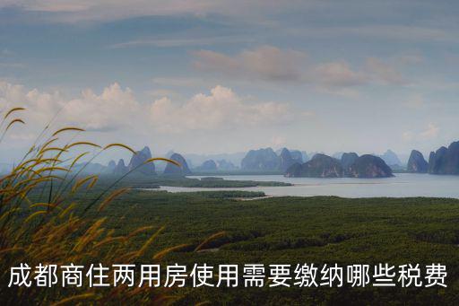 成都商住兩用房使用需要繳納哪些稅費