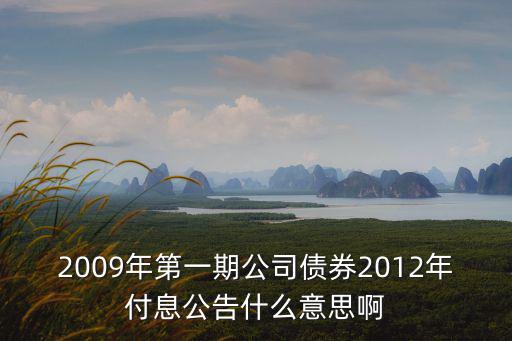 2009年第一期公司債券2012年付息公告什么意思啊