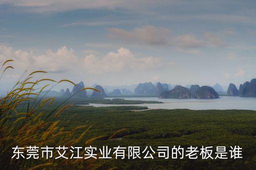 東莞市艾江實業有限公司的老板是誰