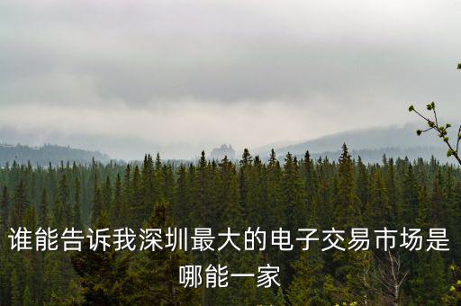 深圳 技術 合同交易，誰能告訴我深圳最大的電子交易市場是哪能一家