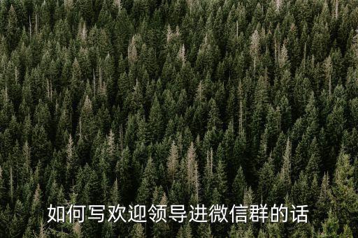 成都市輕工業局微信群，女孩把我從Hei名單放出來后我給她打電話她接了我昨天給她寄過去的