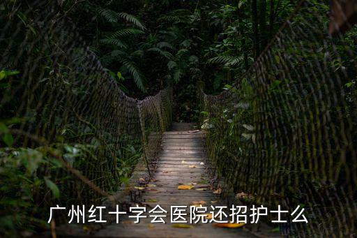 廣州紅十字會醫院還招護士么
