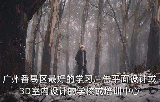 廣州番禺區(qū)最好的學(xué)習(xí)廣告平面設(shè)計(jì)或3D室內(nèi)設(shè)計(jì)的學(xué)?；蚺嘤?xùn)中心