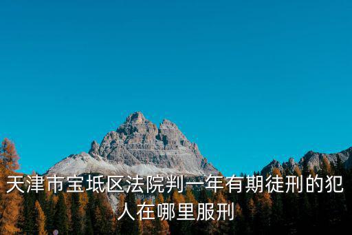 天津市寶坻區政府負債率，天津市寶坻區法院判一年有期徒刑的犯人在哪里服刑