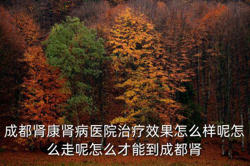 成都腎康腎病醫院治療效果怎么樣呢怎么走呢怎么才能到成都腎