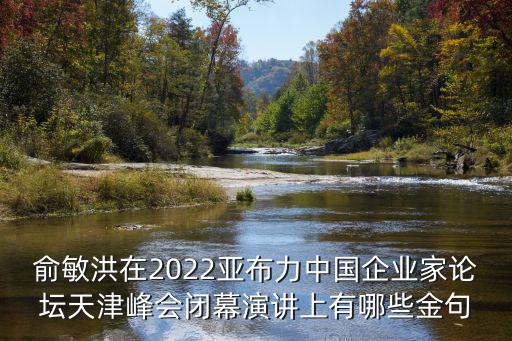 俞敏洪在2022亞布力中國企業家論壇天津峰會閉幕演講上有哪些金句