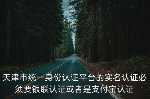 天津市統一身份認證平臺的實名認證必須要銀聯認證或者是支付寶認證