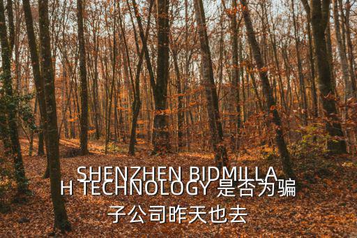 SHENZHEN BIDMILLAH TECHNOLOGY 是否為騙子公司昨天也去