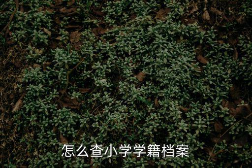 怎么查小學(xué)學(xué)籍檔案
