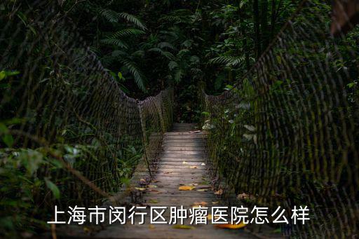上海市閔行區腫瘤醫院怎么樣