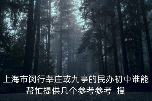 上海市閔行區私立中學，上海閔行有哪些民辦的高中分數線是多少
