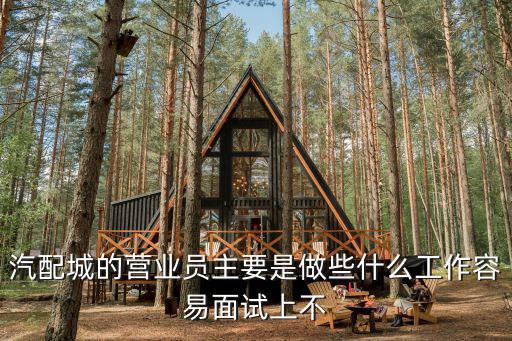 汽配城的營(yíng)業(yè)員主要是做些什么工作容易面試上不