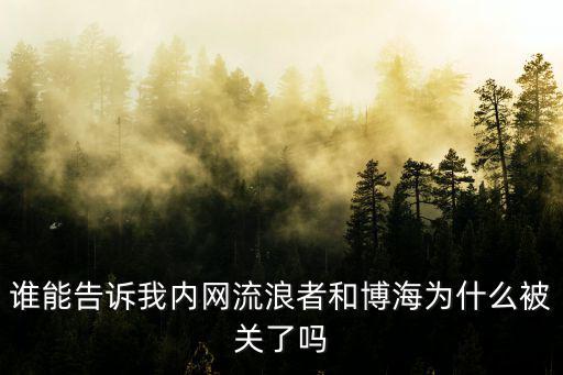 誰能告訴我內網流浪者和博海為什么被關了嗎