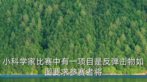 小科學家比賽中有一項目是反彈擊物如圖要求參賽者將