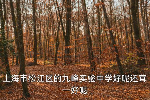 上海市松江區(qū)的九峰實驗中學(xué)好呢還茸一好呢