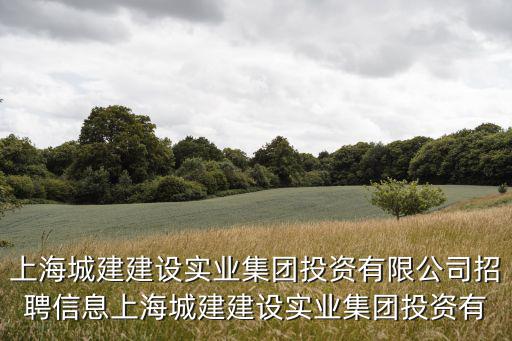 上海城建建設實業(yè)集團投資有限公司招聘信息上海城建建設實業(yè)集團投資有