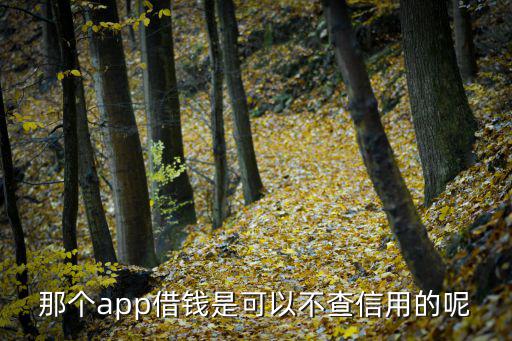 那個app借錢是可以不查信用的呢