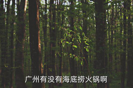 廣州有沒有海底撈火鍋啊