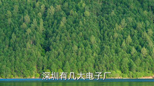 深圳有幾大電子廠