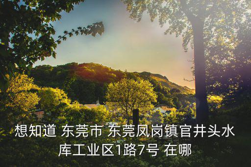 東莞市竹筍實(shí)業(yè)投有限公司，東莞市樟木頭鎮(zhèn)金河工業(yè)區(qū)一期五巷二是一家什么公司是利豐采購不